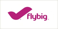 flybig