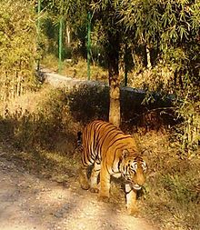 Bannerghatta Biological Park